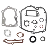 Dihtunzi i semerinzi Briggs & Stratton