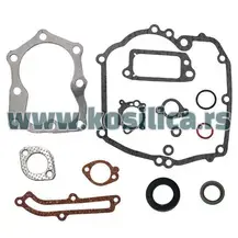 Dihtung garnitura Briggs & Stratton 5,5 KS 493263 496117 - 1490