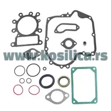 Dihtung garnitura Briggs & Stratton 796181 - 10390