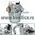 Karburator Briggs & Stratton 593432 794653 791266 - 2290