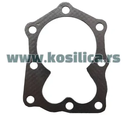 Dihtung glave Briggs & Stratton 5,5 KS grafitni - 480