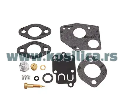 Set za reparaciju karburatora Briggs & Stratton 495606 494624 - 660