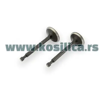 Ventili motora kosilice LC 1P70FA set - 1420